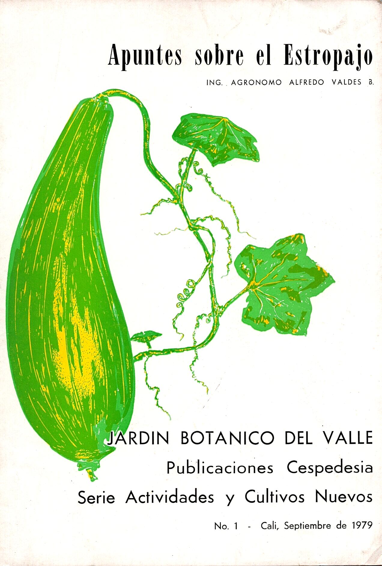 registros-bibliotecarios/apuntes-sobre-el-estropajo